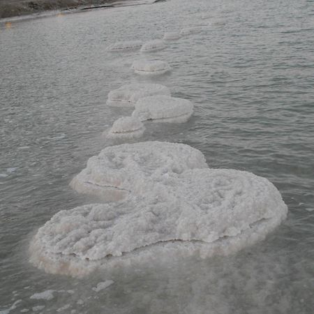 Zimmer Dora Neve Zohar Bagian luar foto