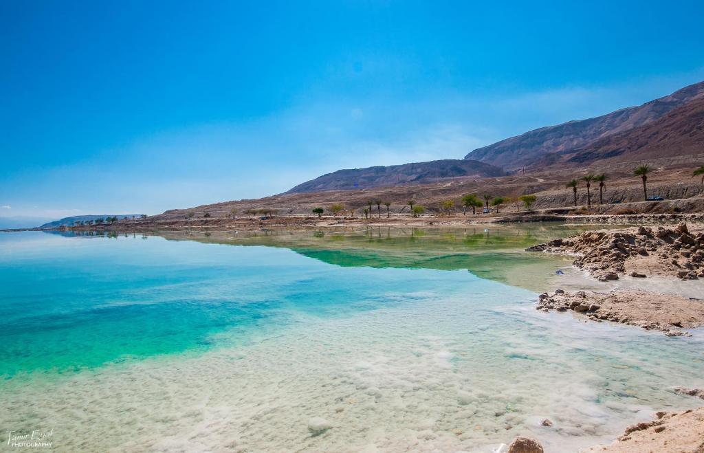Zimmer Dora Neve Zohar Bagian luar foto