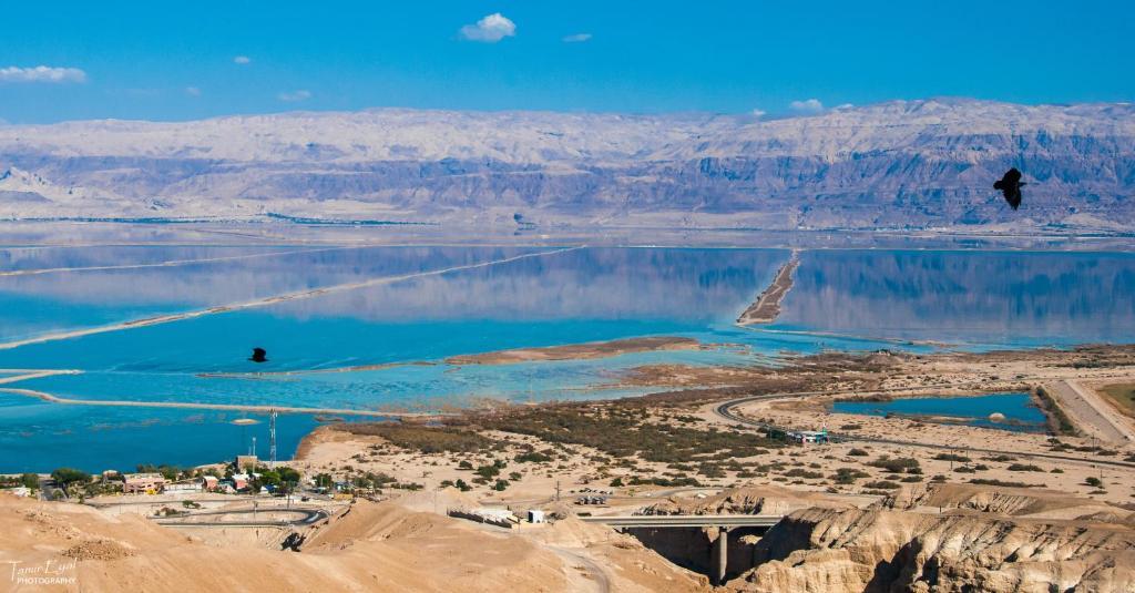Zimmer Dora Neve Zohar Bagian luar foto