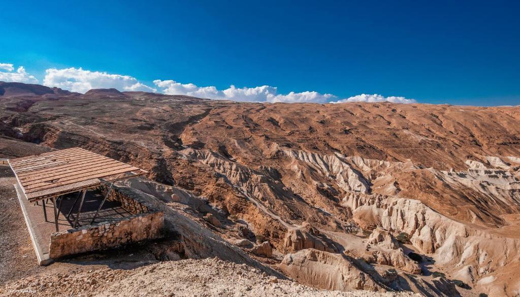 Zimmer Dora Neve Zohar Bagian luar foto