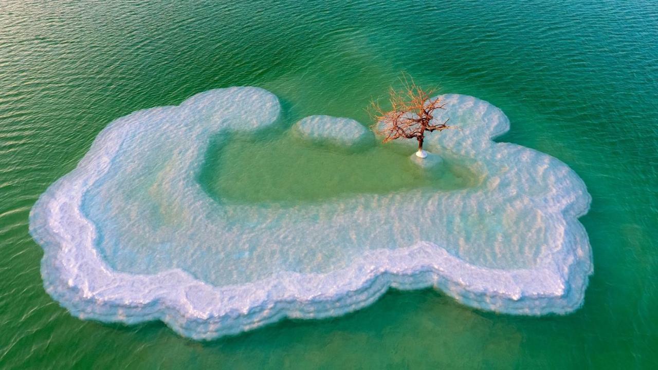 Zimmer Dora Neve Zohar Bagian luar foto